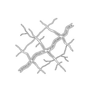 Joints & Foliations icon